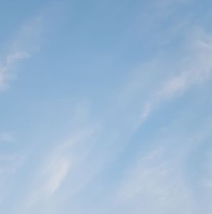 Meet your Posher, Chrishna